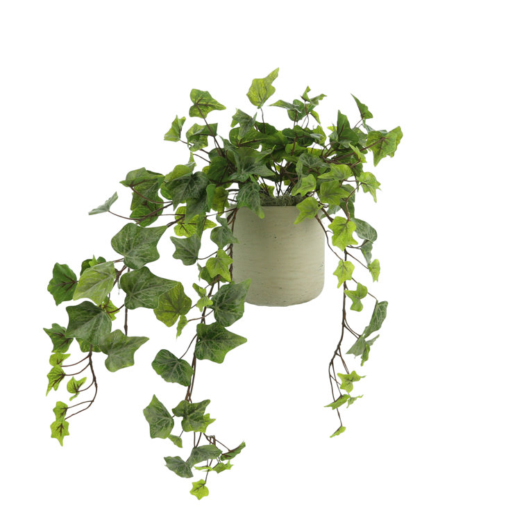 Birch Lane 24" Artificial Ivy Plant in Pot & Reviews Wayfair Canada